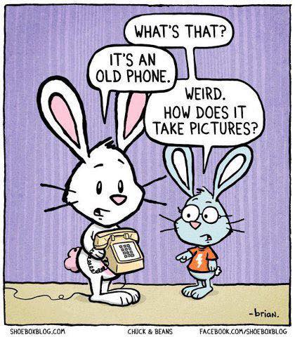 Cartoon of two rabbits looking at a plug-in phone